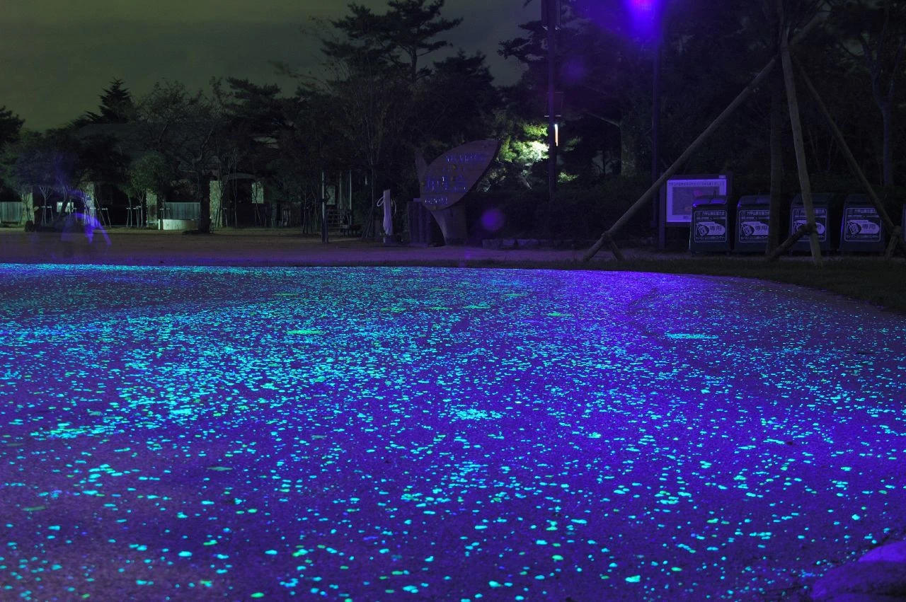 LED Light Field Illumination