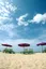 Beach with Purple Umbrellas