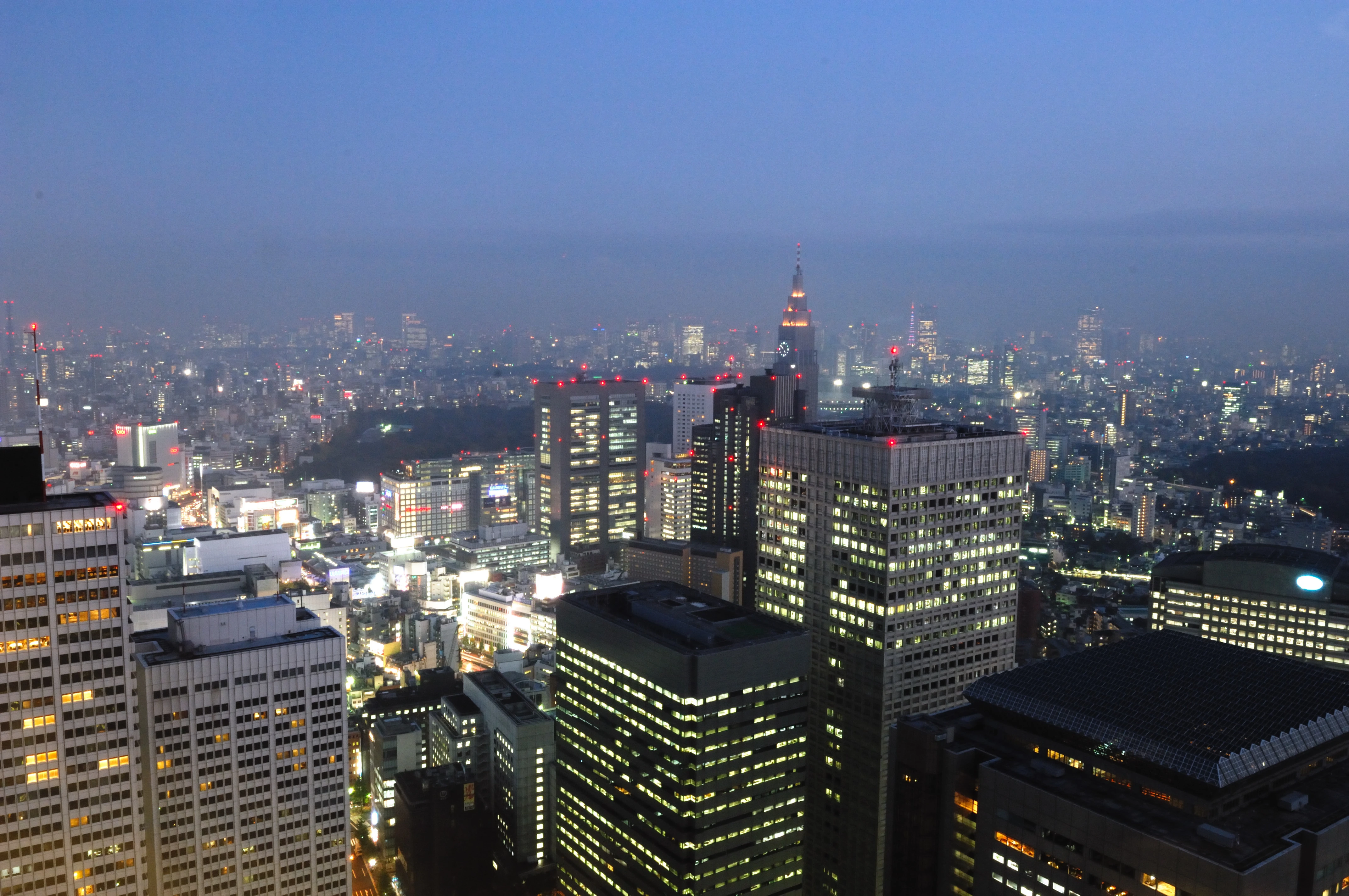 Tokyo Cityscape at Dusk