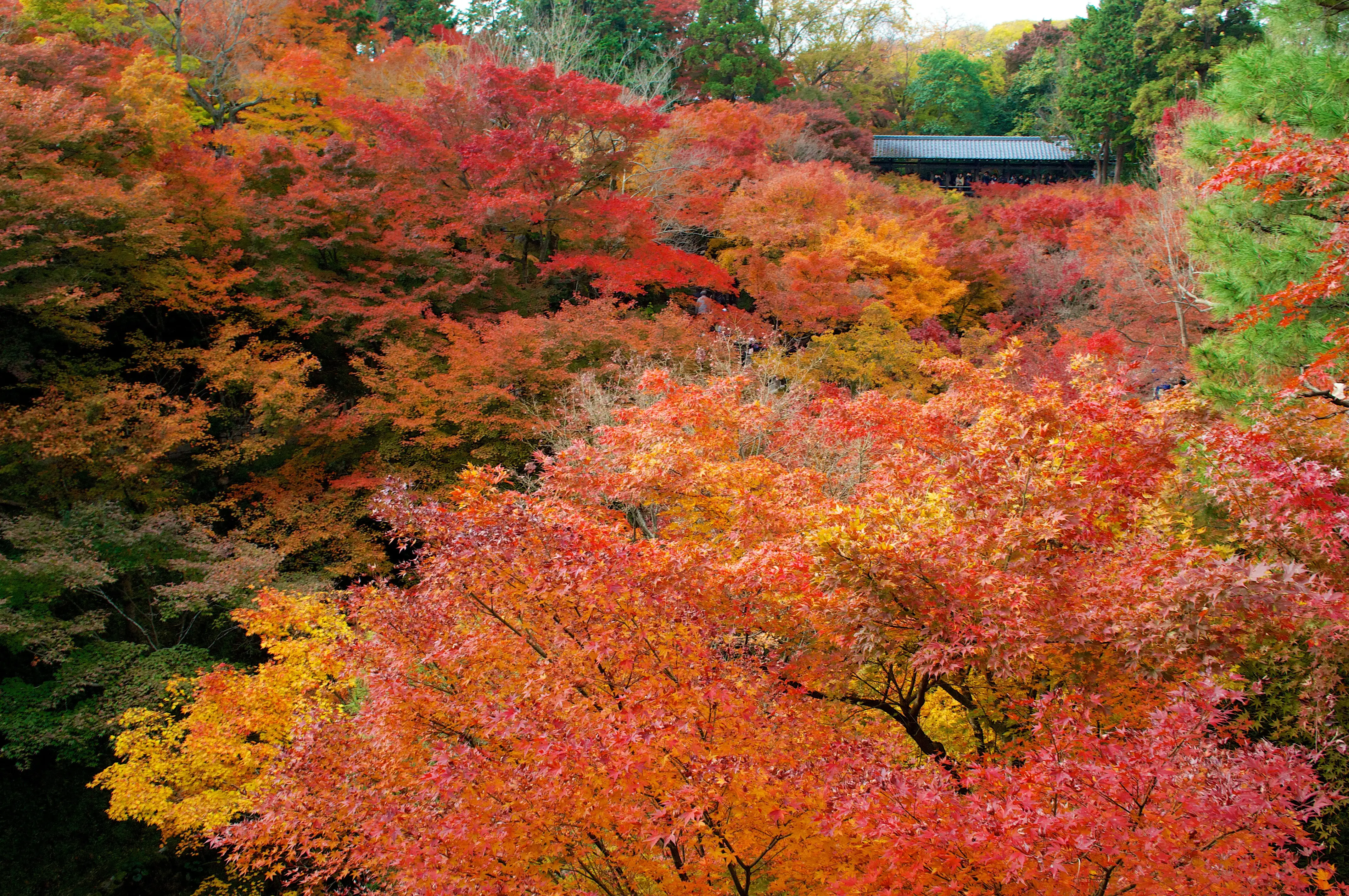 Traditional Japanese Architecture
